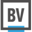 BrandVerity – Paid Search Monitoring logo