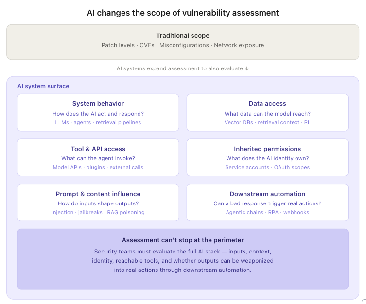 AI Vulnerability Assessment Scope